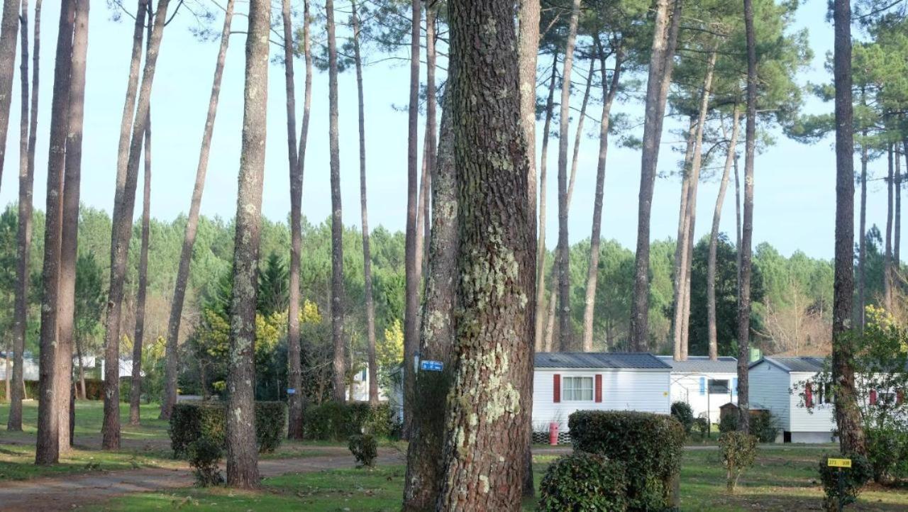 Mobil Home Rainbow, Camping Les Dunes De Contis Saint-Julien-en-Born Quarto foto